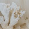 The Tulip - Image 7